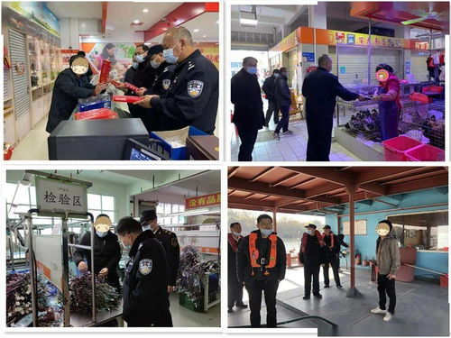 筑牢節日防線 英德開展打擊應節商品走私統一檢查行動，并借力體驗式拓展活動深化團隊協作與策略規劃